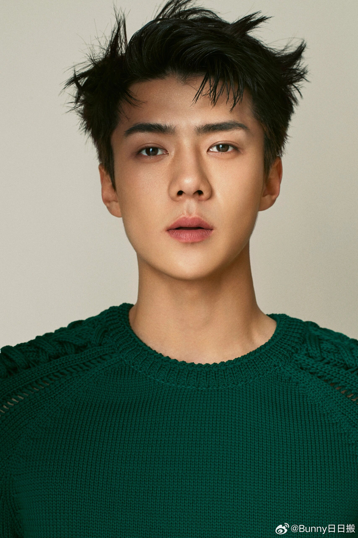 吴世勋 杂志 这张脸硬照就没输过 两个字 伟大!