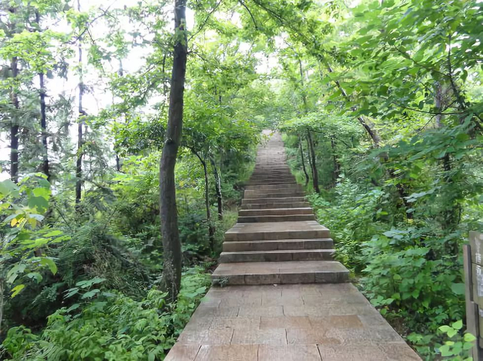 云碧峰森林公园健身步道