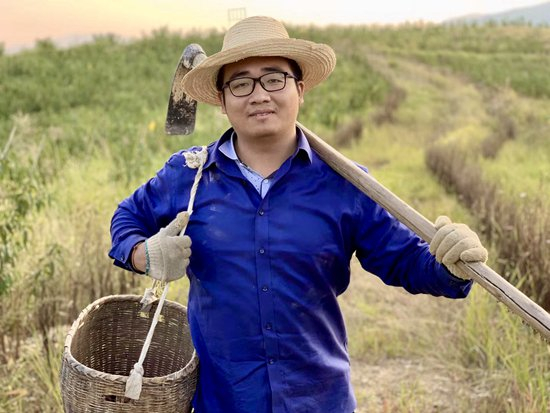 　　在乡村，刘奕辰团队找到了病虫害防治的途径。图片由受访者提供