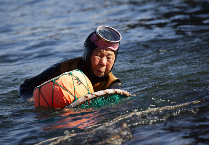 韩国济州岛的海女|济州岛|联合国教科文组织_新浪新闻