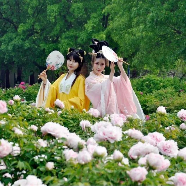 游客打卡菏泽牡丹自1992年首届"菏泽国际牡丹花会"正式亮相,至今已