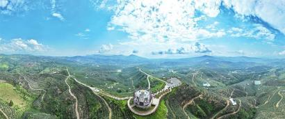 在会理现代农业园区，漫山遍野的石榴成为独特的风景。