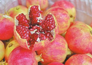 如红宝石般的会理石榴。