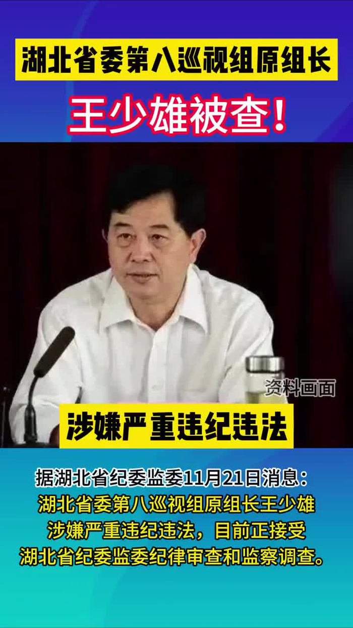观政视频湖北省委第八巡视组原组长王少雄被查