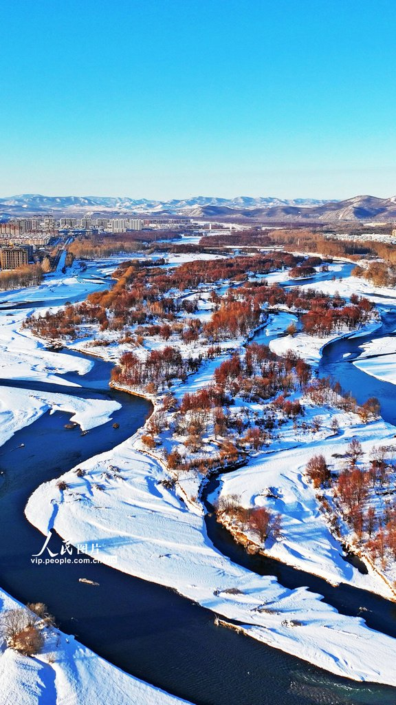内蒙古扎兰屯:冰河红柳美如画|内蒙古|呼伦贝尔市|白雪_新浪新闻