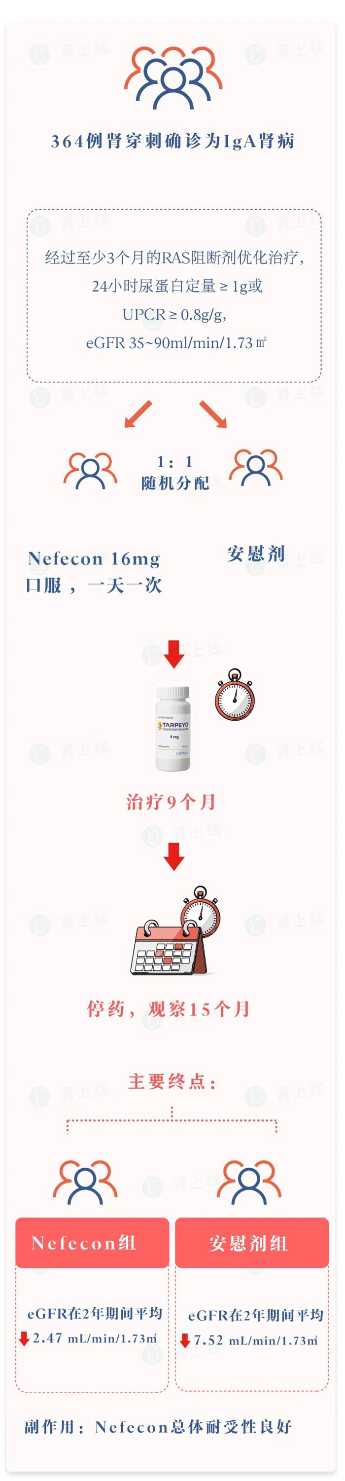 这项研究为期2年,在nefecon(耐赋康,布地奈德迟释胶囊)治疗9个月,随访