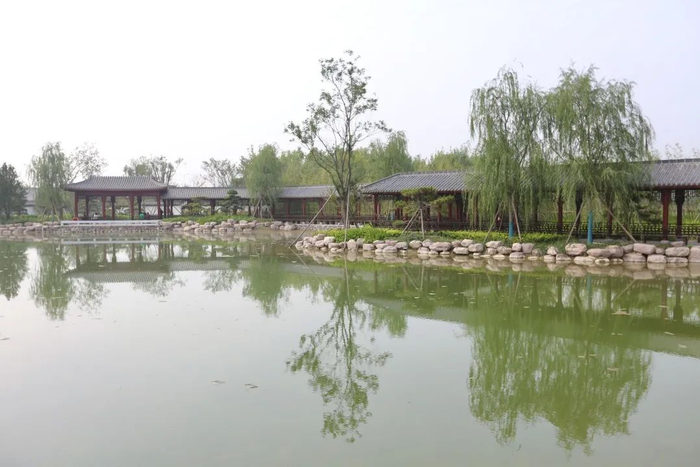大沙河生态公园"盆景园"有奖征名网络投票开启!|焦作市_新浪新闻