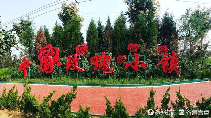 如何以中国式浪漫芬芳世界平阴县玫瑰镇开出幸福花