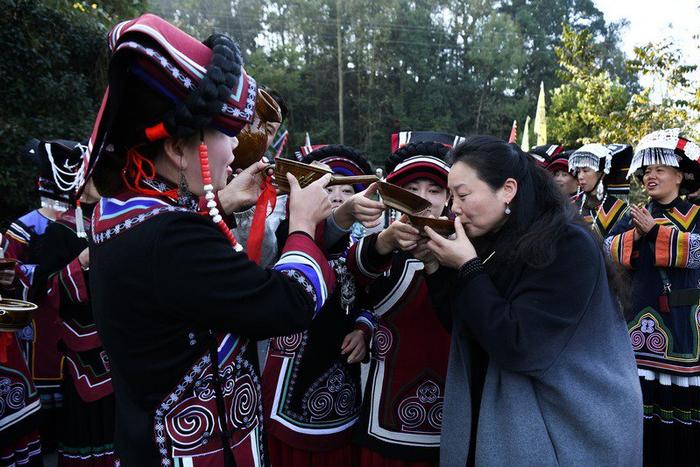 毕节百里杜鹃:载歌载舞欢庆彝族年