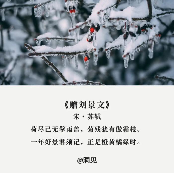 小雪 七首古诗