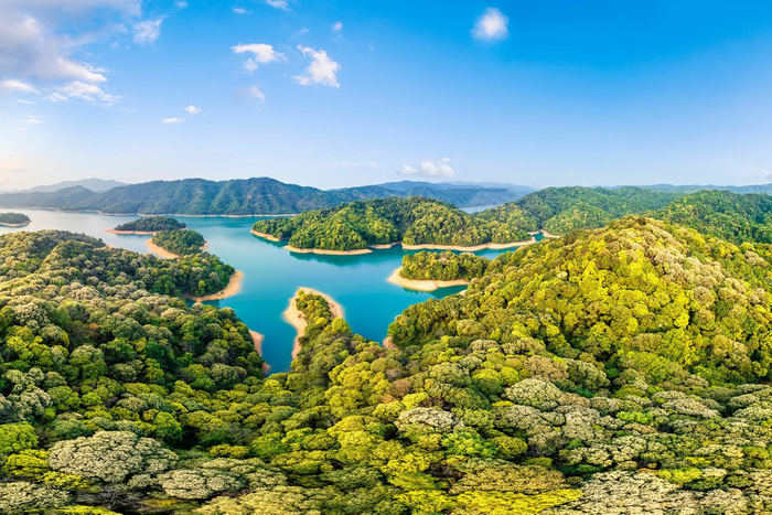 广东已建立四级生态公益林体系|河源市|广东省_新浪新闻