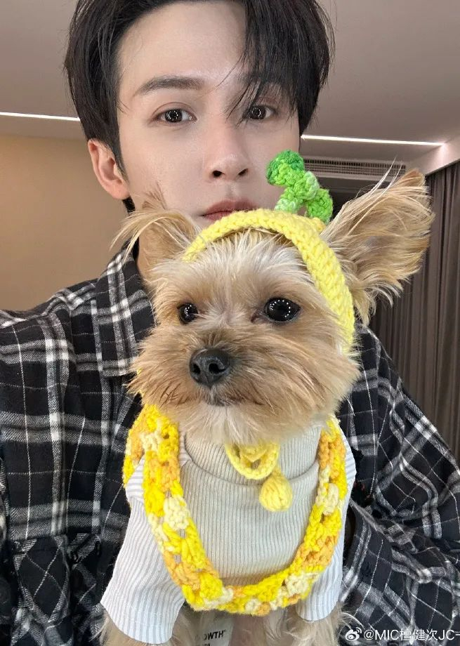 有小狗就不怕寒冬啦|狗|张真源_新浪新闻