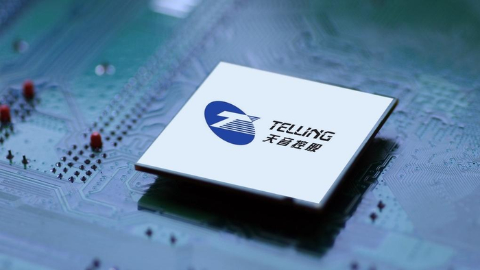 天音控股 IC 资料图