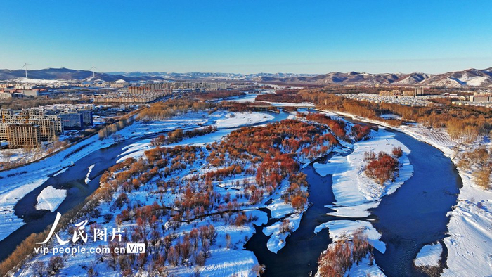 内蒙古扎兰屯:冰河红柳美如画|内蒙古|呼伦贝尔市|白雪_新浪新闻