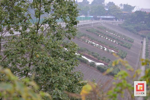 榮縣雙溪水庫管理處全力守護全市大水缸