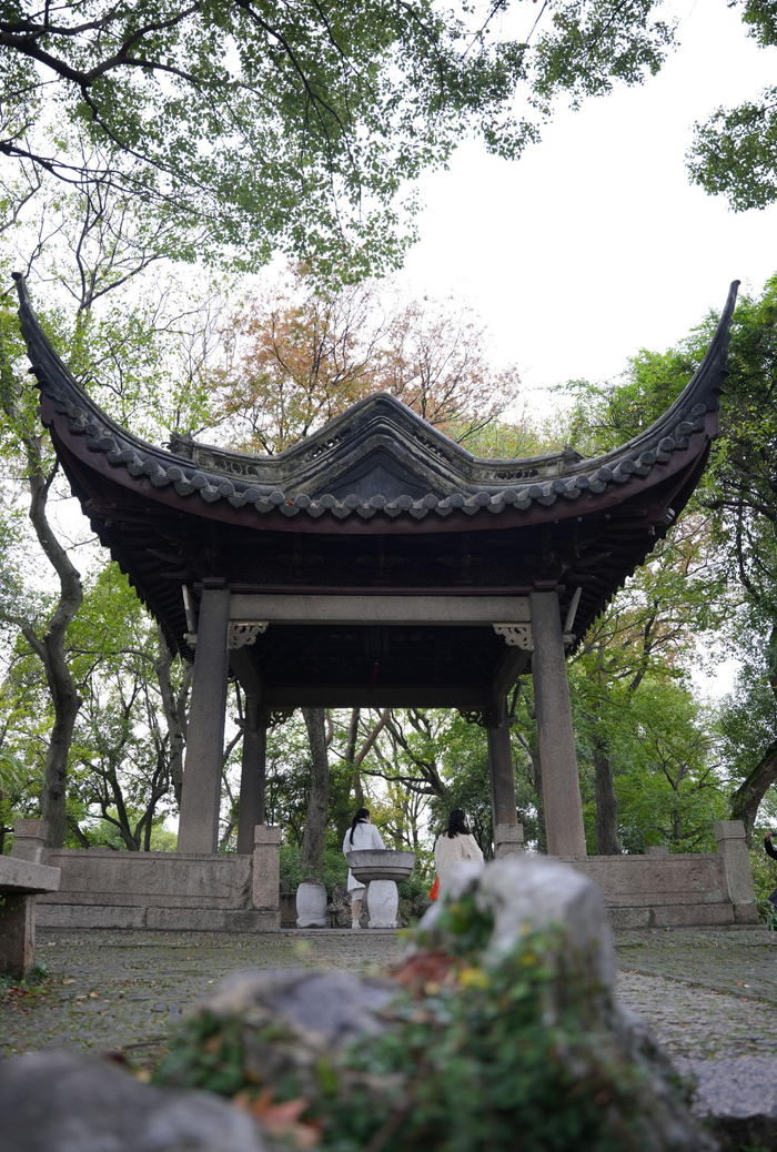 文旅新探|苏州沧浪亭:近水远山皆有情|沧浪亭|苏州市|苏舜钦_新浪新闻