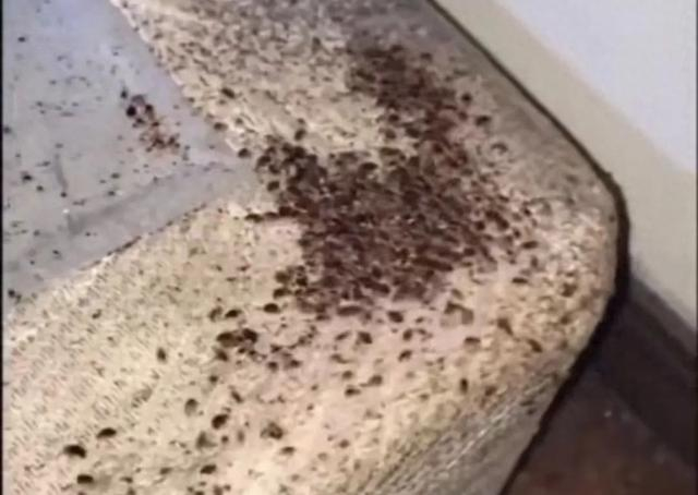 无锡市疾病预防控制中心消媒与血寄地病防制科副主任兰策介进行了采访