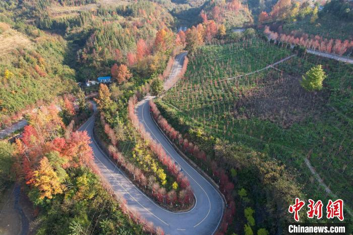 图为施秉县云台山景区旅游公路两旁层林尽染美如画.