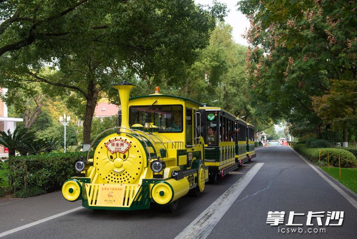 "小黄人"亮相,橘子洲小火车又上新了|橘子洲|长沙市_新浪新闻