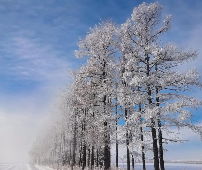 今日雪景美如画图片