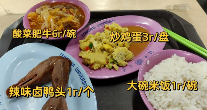 清华大学最强本科生简历曝光孩子你就该有名校情结