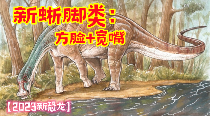 恐龙|阿根廷|化石_新浪新闻