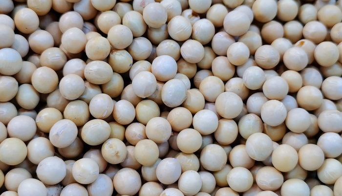 图片来源：吃好每天三顿饭