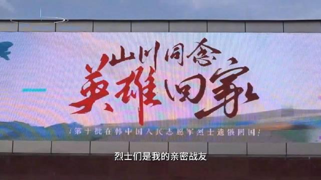 河南志愿军烈士寻亲图片