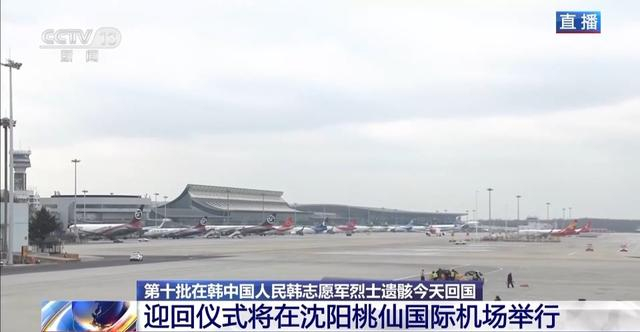 迎接烈士遗骸回国,沈阳桃仙国际机场已准备就绪|桃仙|沈阳|卜晓菲