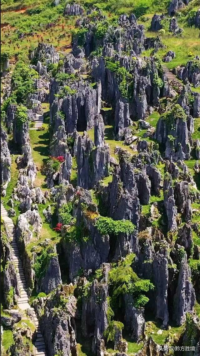 除了思南石林之外,還有四野屯,烏江峽谷,九天溫泉等.