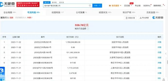 图片来源：天眼查App