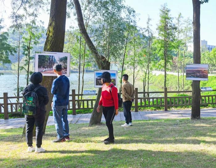 免費看展就在金雞嶺森林公園走去看看陽江有多美