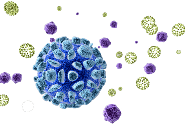 警惕合胞病毒!无疫苗,无特效药!|感染|咳嗽|流感_新浪新闻