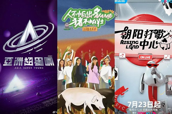 （《亚洲超星团》《人不怕出名猪不怕壮》《朝阳打歌中心 第二季》（图源：豆瓣）