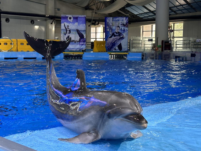 海洋生物|合肥市_新浪新闻