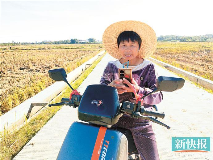 广东田长制"上线"一年硕果累累|广东省|高州市_新浪新闻