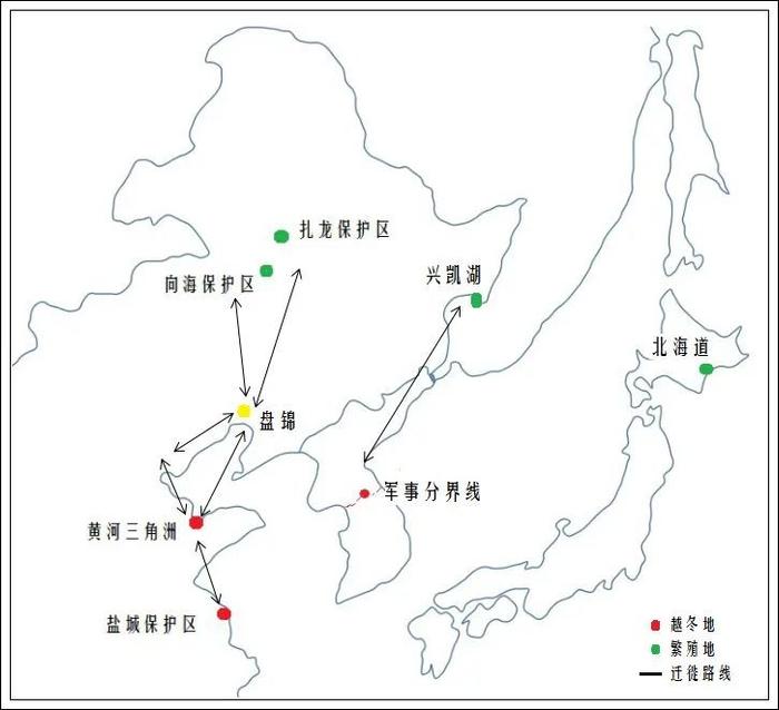 国内丹顶鹤迁徙路线有两条:一条沿乌苏里江南下,在汉江流域(三八线