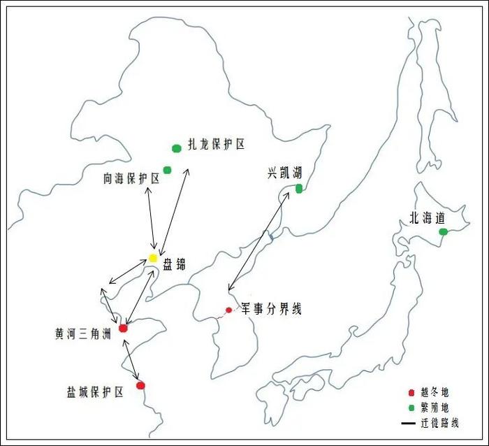 丹顶鹤迁徙路线图片