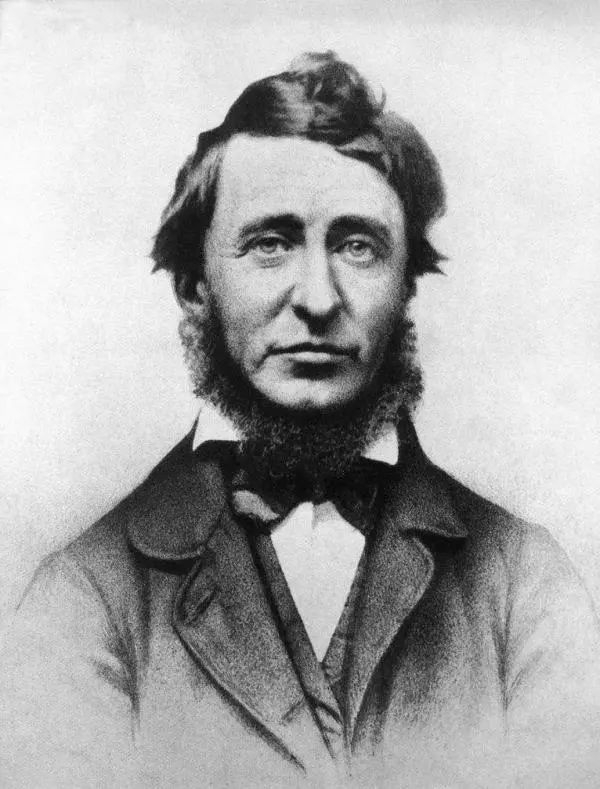 大卫·梭罗(henry david thoreau)是这一运动中最有影响力的人物之一