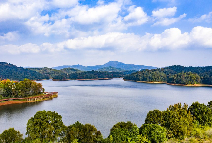 江西南丰潭湖湿地美如画