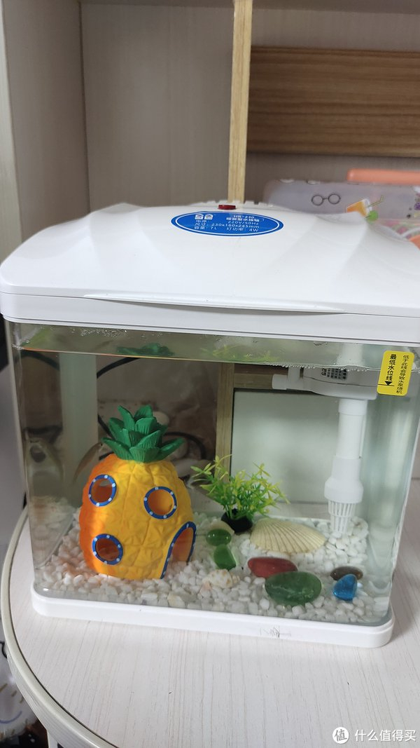 质量很不错的迷你小鱼缸|鱼|过滤_新浪新闻