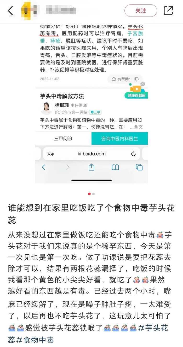 图片来源：小红书