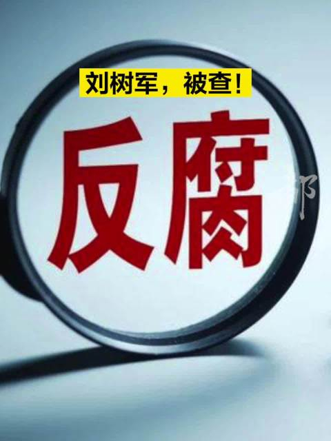 刘树军被查