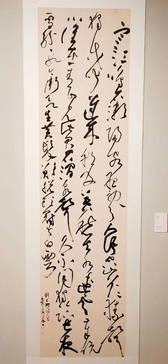 云何定平薛梅杰轩浩玮张高峰高辉许春光王巍李重阳延志超王欣雷俊芝