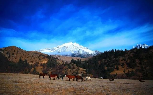 由于独特的地理条件,让理塘在冬天也拥有着令人羡慕的好天气.
