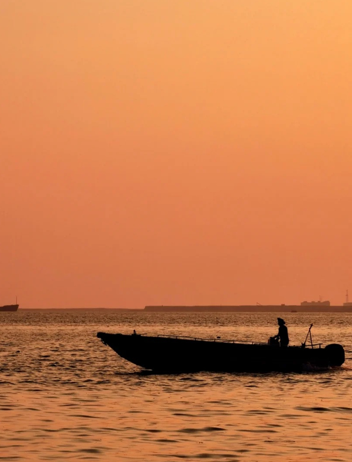 ▲图源 作者 黄杰斌、小红书@王铎我爱你