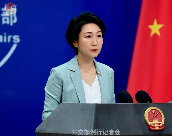 毛宁 费力图 图源:社交部网站