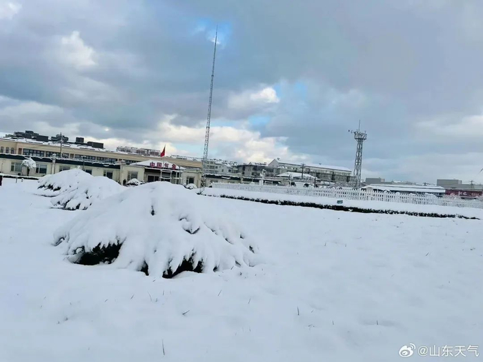 今天,青岛下雪了!