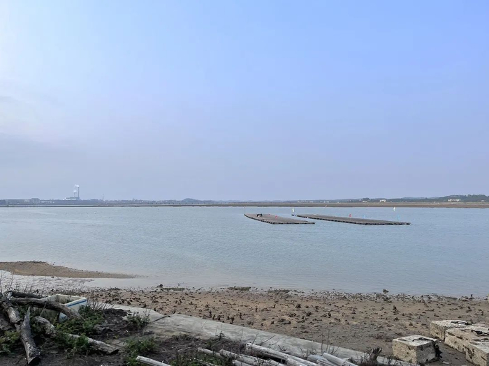 ▲图源 小红书@Lamy辣米、Loewy 摄