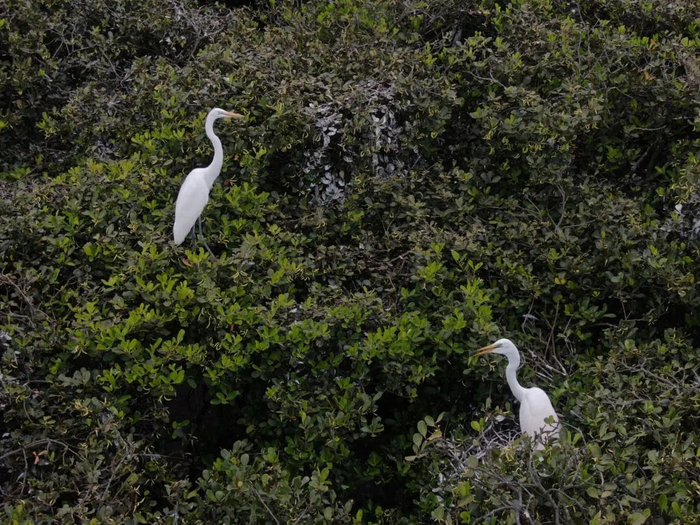 ▲图源 广西日报-广西云客户端记者 阳继乐 摄